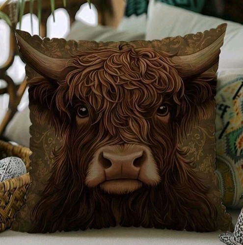 Beautiful highland cow - x,