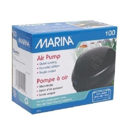 Marina fish tank aquarium - marina,