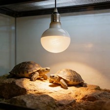 UVA Heat Lamp for Reptiles