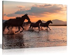 Wild Brown Horses Running Water Sunset Framed Canvas Print Wall Art Home Decor