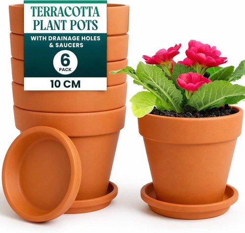 Terracotta clay pots for - terracotta,
