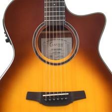 Crafter ht250ce silver - crafter,