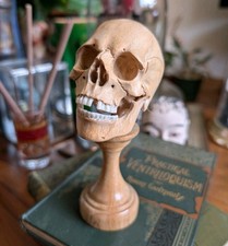 Human Skull on Stand - Carved Wood - Momento Mori - Gothic Macabre Cool Ornament