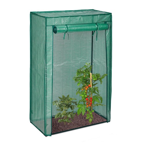 Small greenhouse tomato - small,