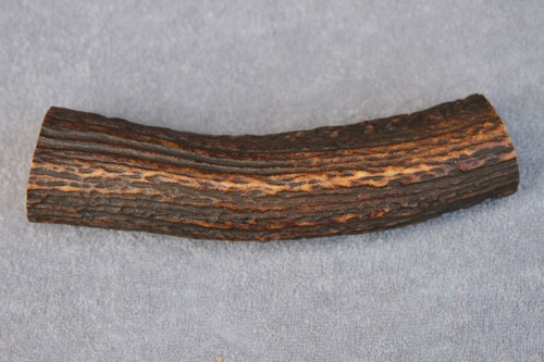 Real red deer - deer, section