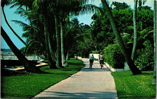 Bicycle path palm beach - bicycle,