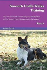 Smooth Collie Tricks Training