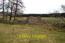 Photo 6x4 Sheep handling pens