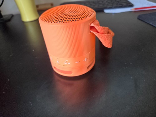 Sony srs xb100 - srs-xb100, portable