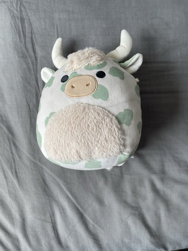 This squishmallows - this, a