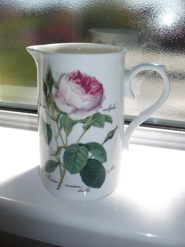 Roy kirkham redoute roses fine - kirkham,