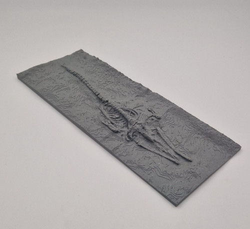 Whale bone fossil model marine - fossil,