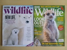 BBC Wildlife - July and
