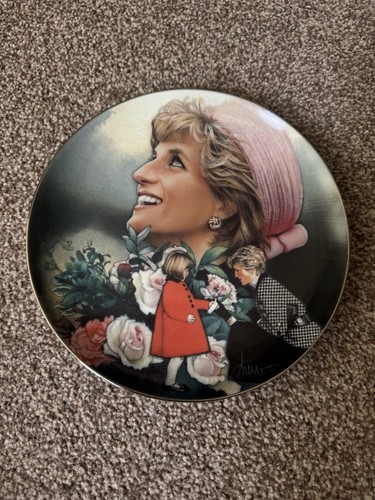 England rose diana princess - rose,