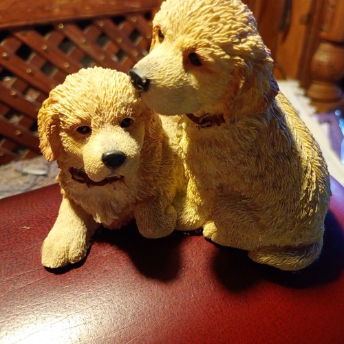 Barkers retriever puppies - barkers,