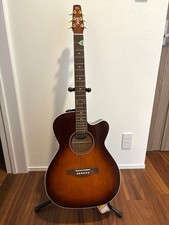 Seagull electric acoustic