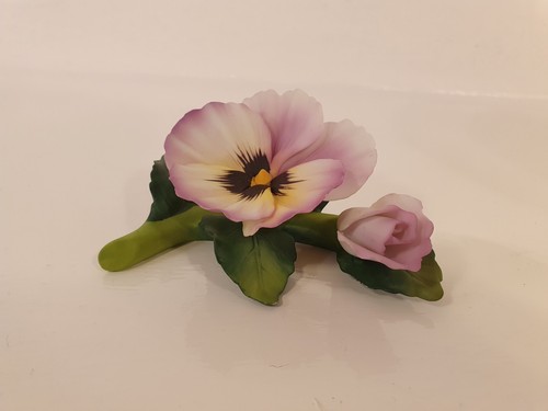 Roman inc pansy - flower,