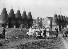 The hop farm houses in Paddock