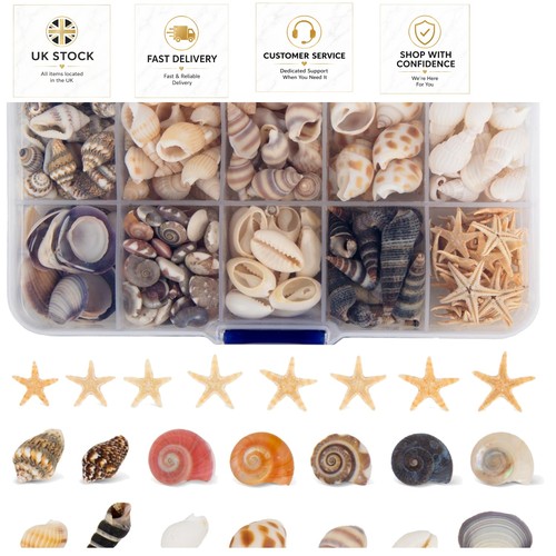 Exotic mini shell - shell,