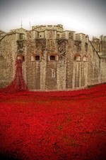 Tower of London Poppy Poppies Blood Swept Lands And Seas Of Red England Picture
