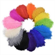 10pcs 15-20cm Ostrich Feathers