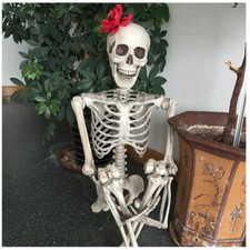 Halloween Poseable Skeleton