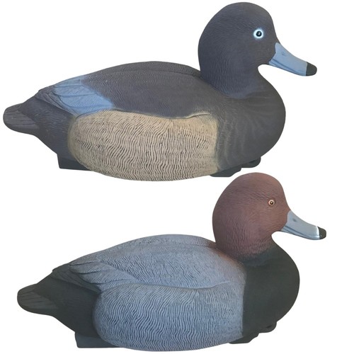 Redhead duck decoy floating - duck,