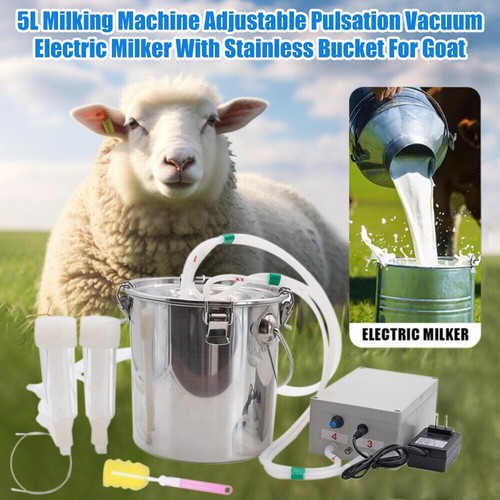 Electric dual head - head, goat