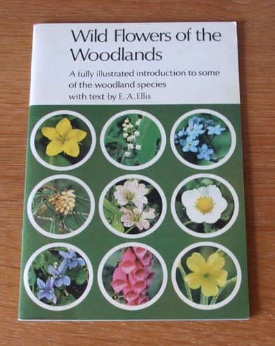 Wild flowers the woodlands - wild,