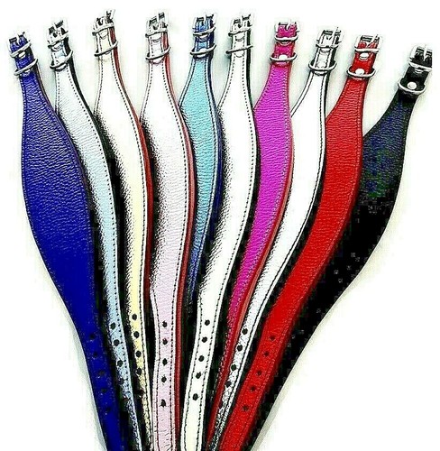 Luxury foil leather dog - luxury,