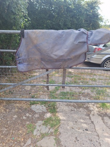Masta lightweight turnout rug - turnout,