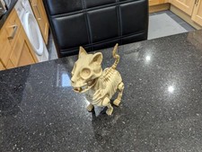 Animated Dog/ Cat Skeleton
