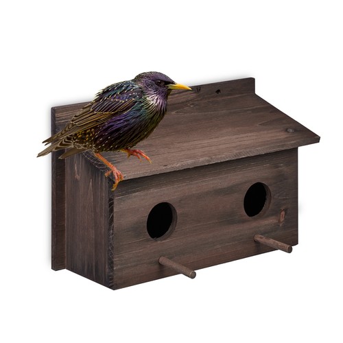 Nesting box bird - bird, shelter