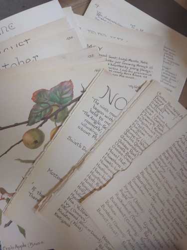 Country diary edwardian - an,