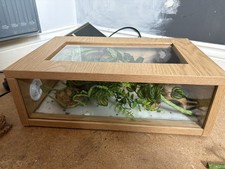 small reptile vivarium Set Up Snake/ Ghecko 
