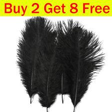 Large Ostrich Feathers Party