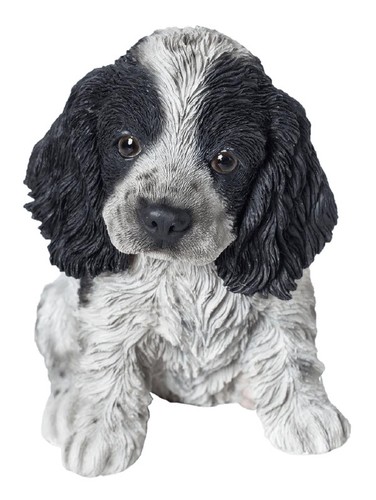 Vivid arts pet - vivid,