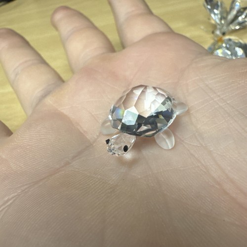 Swarovski crystal tortoise - crystal,