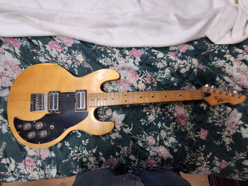 1970 peavey 60 natural - t-60,