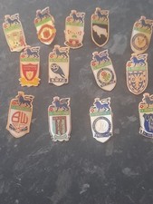 FA Premier League Enamel