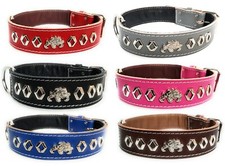 1.5 Inch Wide Decorated Leather Dog Collar and Unique English Bulldog Badge