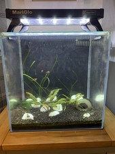 Aqua One NanoReef 35 Complete