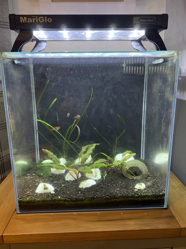 Aqua one nanoreef - nanoreef, 35