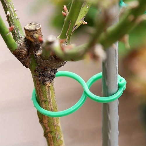 100pcs garden plant - garden,