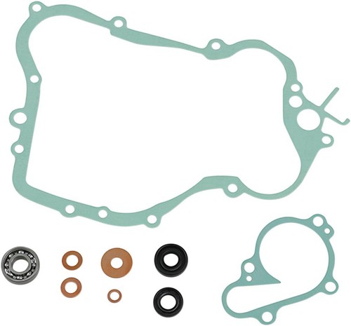Athena water pump gasket - pump,