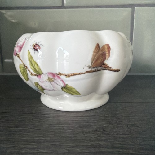 Vintage aynsley china - vintage,