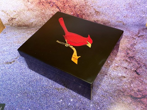 Cardinal bird red and - red,
