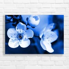 Blooming Spring Flowers Canvas Print Large Picture Wall Art