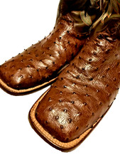 Justin Boots in brown ostrich