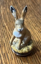 HALCYON DAYS  - Hare / Rabbit